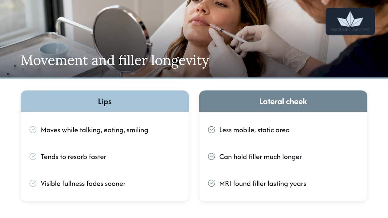 Why lips fade faster than cheeks — overview diagram
